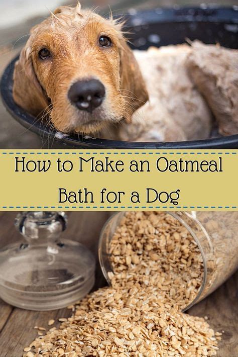 How to Make an Oatmeal Bath for a Dog (With images) | Oatmeal bath, Dog dry skin, Oatmeal bath ...