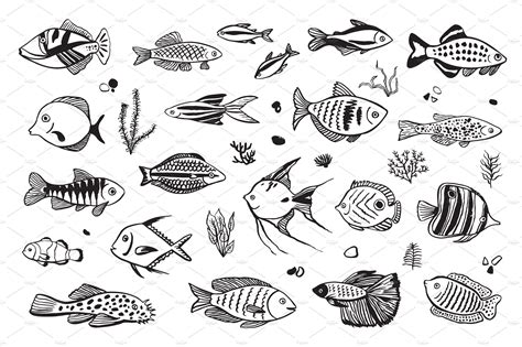 Tropical Fish | Small fish tattoos, Fish illustration, Fish drawings