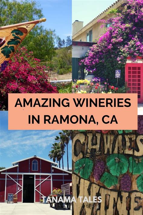 Wineries in Ramona: Must-Visit Spots - Tanama Tales | Southern california travel, Travel usa ...