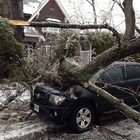 Photos of the 2013 Toronto ice storm