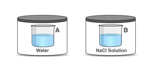 Two beakers of capacity 500 mL were taken. One of these beakers, labeled as “A”, was filled with ...