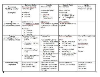 Biomolecules Worksheet