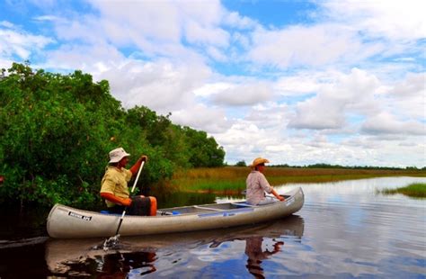 Everglades Tours | Eco Tours | Everglades Adventure Tours | Everglades ...