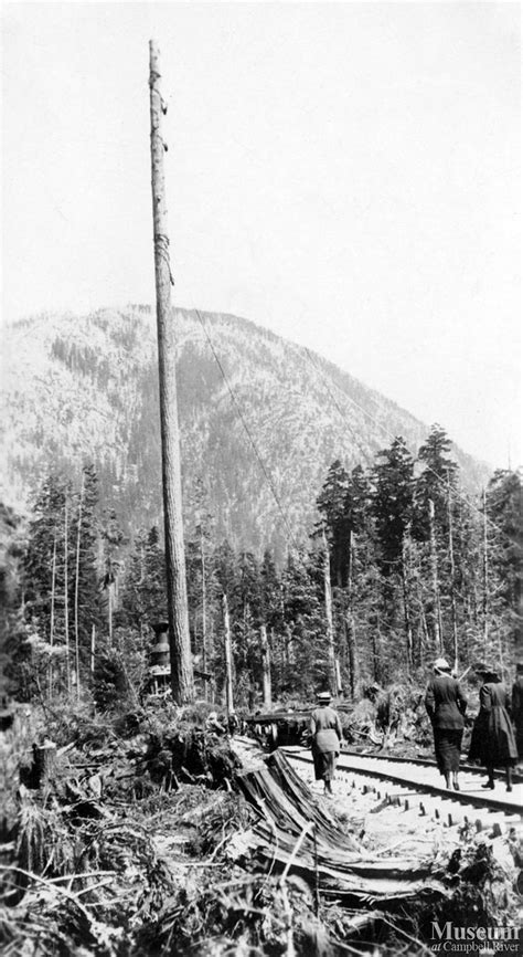 Spar tree and steam donkey, Nimpkish area | Campbell River Museum ...