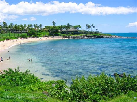 Kapalua Bay Snorkeling Secrets! The Complete Guide to Maui Snorkeling!