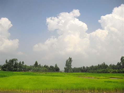 Bangladesh Village Shanto and backgrounds HD wallpaper | Pxfuel