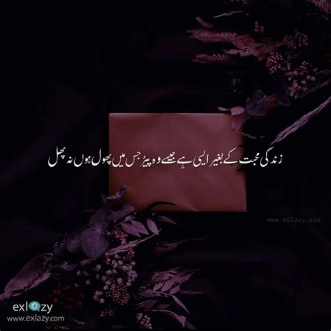 life quotes short in urdu Best famous success quotes in urdu images