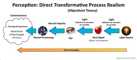 The Process Of Sense Perception Diagram