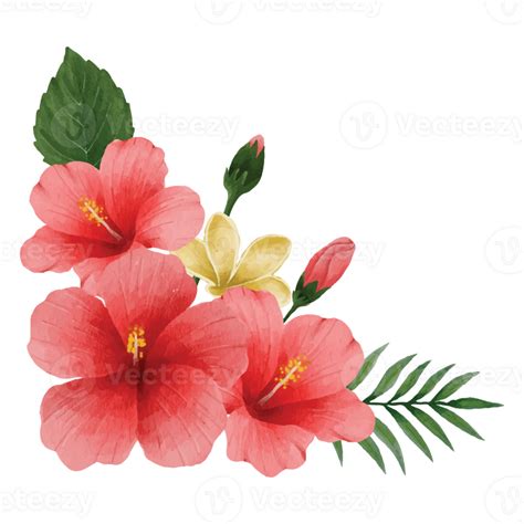 Botanical hibiscus Flower, floral bouquet Clip art Element Transparent Background 24625673 PNG