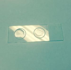 Two-Circle Microscope Slides for Fluorescent Microscopy, Springside Scientific | VWR