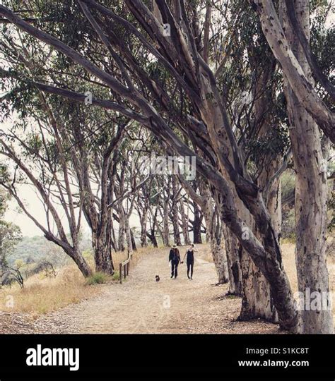 Will rogers state park hiking Stock Photo - Alamy