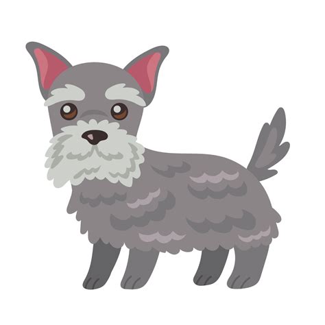 cute dog schnauzer 14606071 Vector Art at Vecteezy