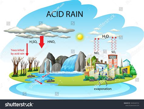 Diagram Showing Acid Rain Pathway On Stock Vector (Royalty Free) 1849640722 | Shutterstock