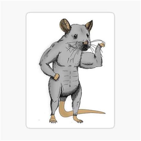 "Tema the size of the rat" Sticker for Sale by Tanjiro-Kuni | Redbubble