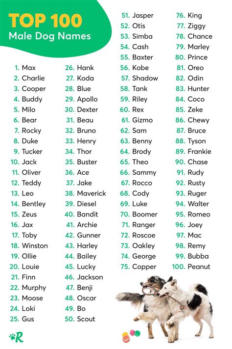 Dog Names That Go With Scout - Pupherd