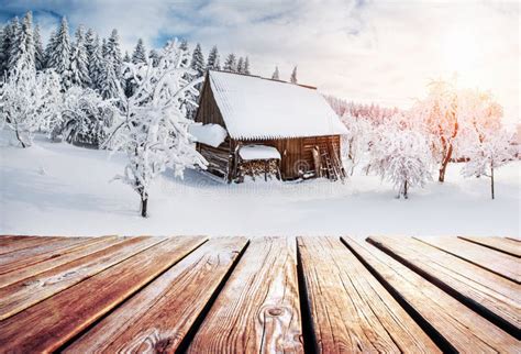 Winter Mountains Landscape with a Snowy Forest and Wooden Hut Stock ...