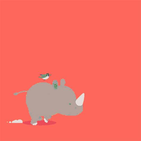 Rhino Running GIF - Rhino Running Bird - Discover & Share GIFs