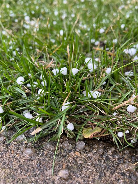 GRAUPEL EXPLAINER: What is it, and how does it form? | WTAJ - www.wtaj.com