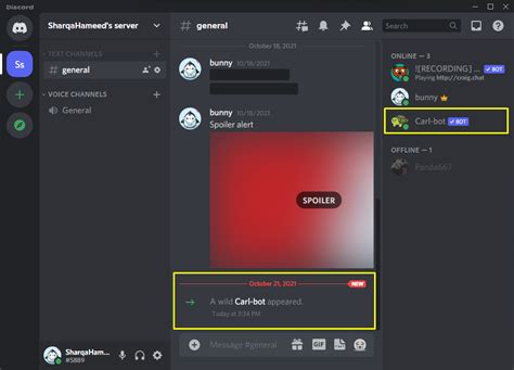 Discord Carl Bot tutorial