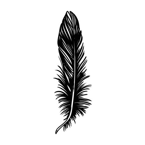 Crow Feathers Drawing