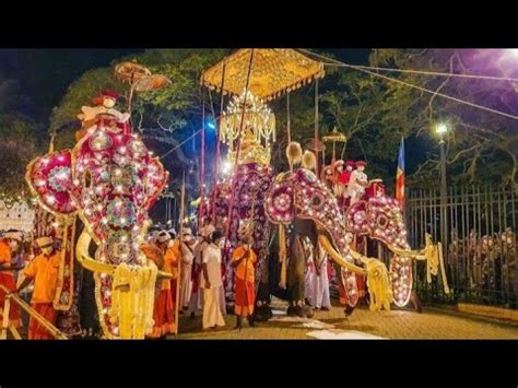 Nuwara Dalada Perahera Srilanka 2021. | #Daladaperahara #Srilanka #Nadungamuwaraja #Short # ...