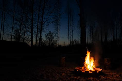 8,800+ Campfire Night Sky Stock Photos, Pictures & Royalty-Free Images ...