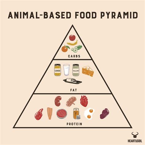 What's the Difference Between Carnivore and Animal-Based? - Heart & Soil Supplements | Animals ...