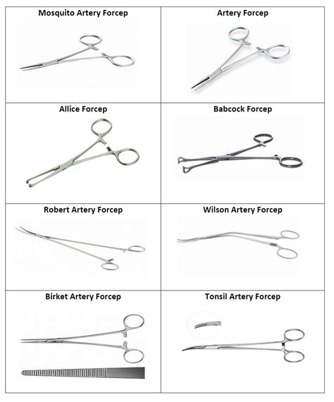 What Are The Diffe Types Of Forceps And Their Uses - Infoupdate.org