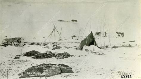 Wounded knee massacre aftermath, South Dakota, USA, December 1890 ...