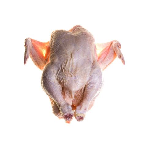 Headless chicken toy stock image. Image of yellow, funny - 2803711