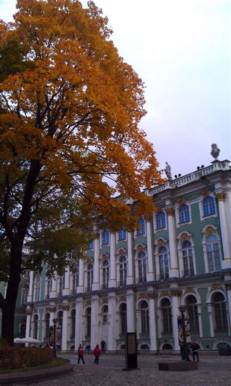 Winter Palace, (Дворцо́вая пло́щадь), Hermitage Museum, Saint Petersburg, Russia. Petersburg ...