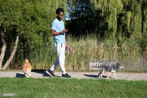 586 Black Man Walking A Dog Stock Photos, High-Res Pictures, and Images ...