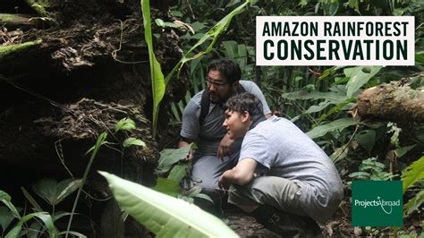 Amazon Rainforest Conservation with Projects Abroad @ Taricaya ...