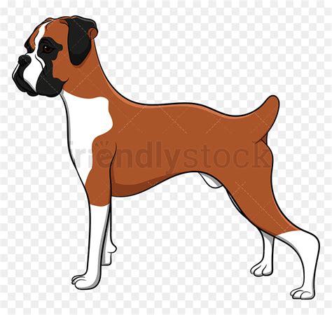 boxer puppys - Clip Art Library