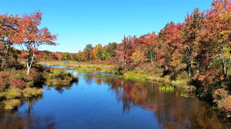 How to Find Fall Foliage in the Poconos – Dang Travelers