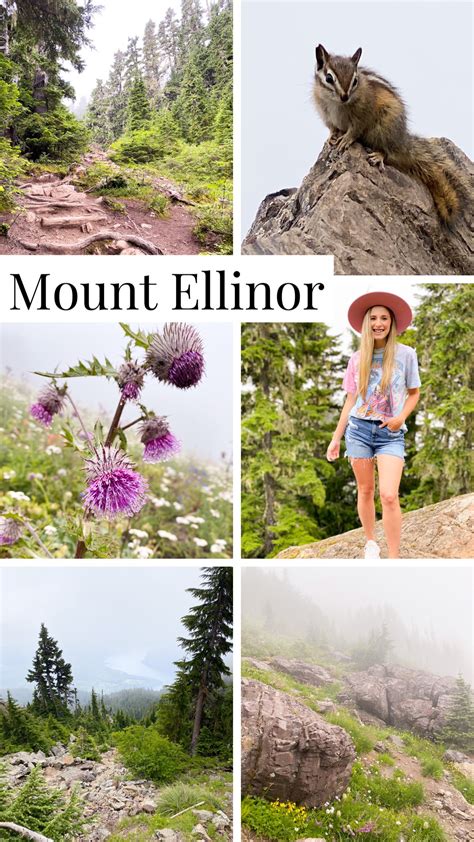 Mount Ellinor Trail - Olivia Michelle