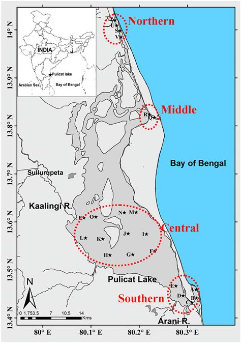 Map showing the sampling locations in Pulicat Lake, southeast coast of... | Download Scientific ...