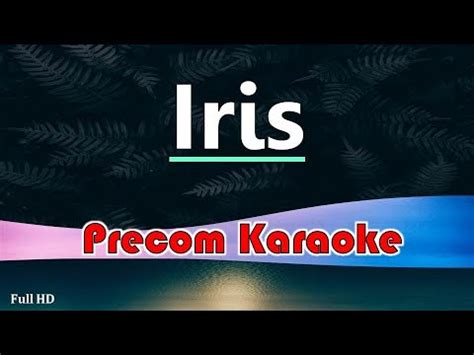 Iris / Karaoke Songs with Lyrics / Goo Goo Dolls - YouTube