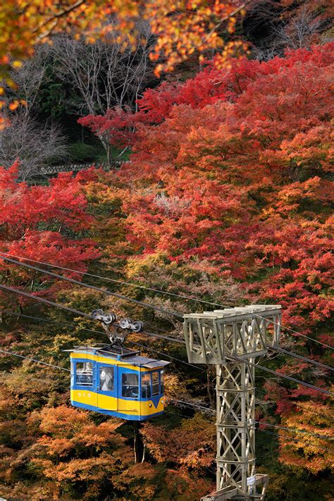 Mt. Yoshino in Autumn is Very Attractive! | よしのーと