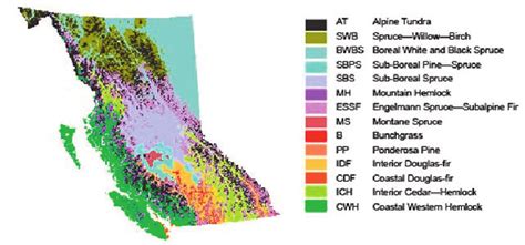 Biogeoclimatic zones of British Columbia; divisions within alpine... | Download Scientific Diagram