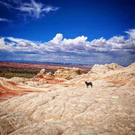 white pocket, Arizona : r/hiking