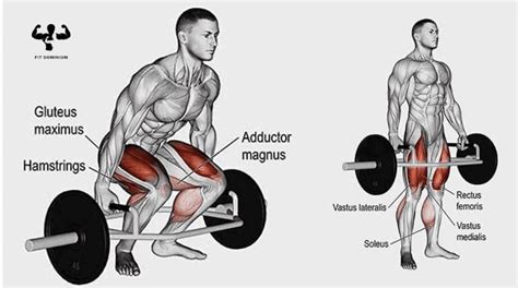 Top 7 Trap Bar Deadlift Muscles Used – FitDominium