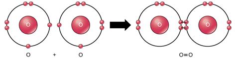 Difference Between Atomic Oxygen and Molecular Oxygen | Compare the ...