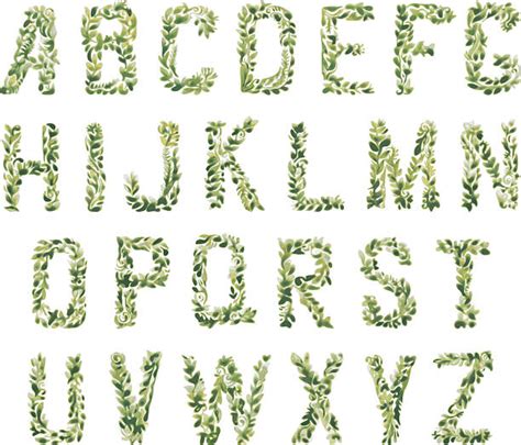 Plant Alphabet Illustrations, Royalty-Free Vector Graphics & Clip Art - iStock