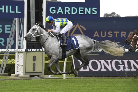 Group 1 Performer Polly Grey Returns To The Kylie Fawcett Stable