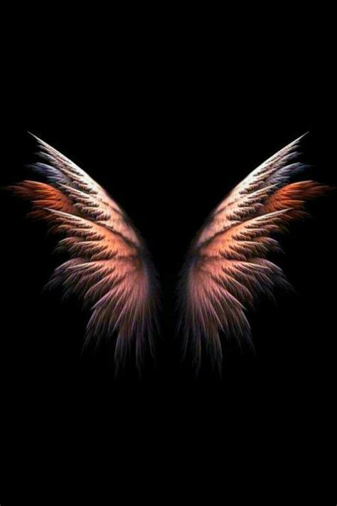 Pin by virus on wings | Black background wallpaper, Wings wallpaper ...