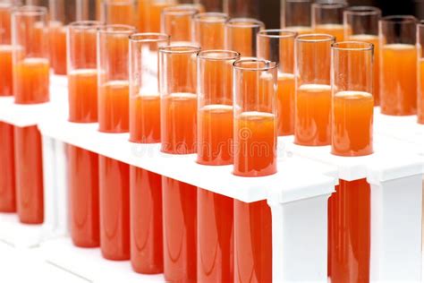 Orange juice stock photo. Image of freshness, vegetarian - 29928218