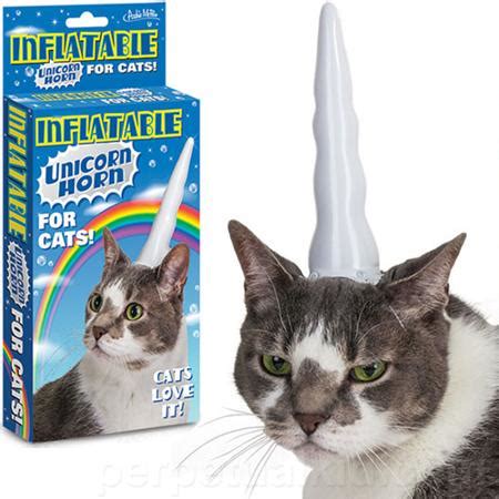 Crazy RxMan: Foolish Idea: Unicorn Horn for Cats