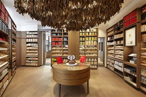 Davidoff Gets New Retail Chief – halfwheel