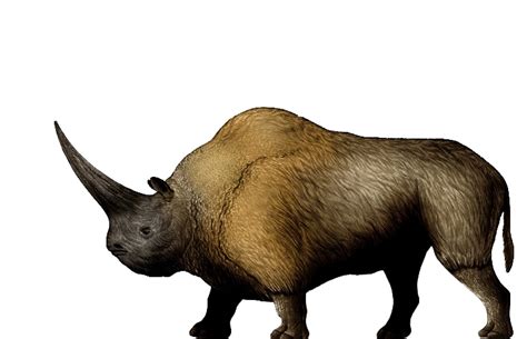 Elasmotherium | Dinosaur Wiki | FANDOM powered by Wikia